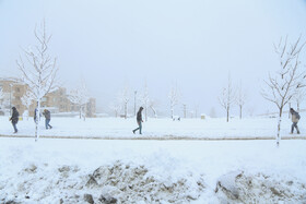 بارش برف در سنندج بعد از دو سال