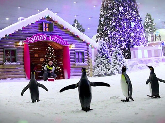 هزینه حضور در پیست اسکی دبی