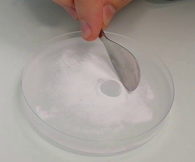 حبابی که ۴۶۵ روز نترکید!