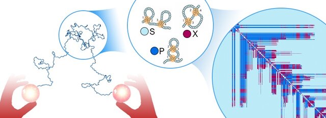 ایده دانشمند ایرانی که جایزه انجمن پژوهشهای علمی هلند به آن تعلق گرفت