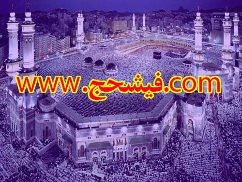 نگاهی دقیقتر به نحوه خرید فیش حج