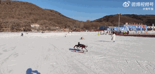 تصاویری باورنکردنی از اسکی ماهرانه ربات ۶ پا در چین