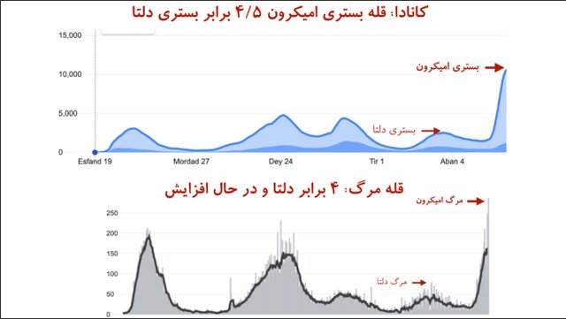 "قله مرگ" در کرونای اُمیکرون بالاتر از دلتا