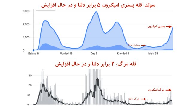 "قله مرگ" در کرونای اُمیکرون بالاتر از دلتا