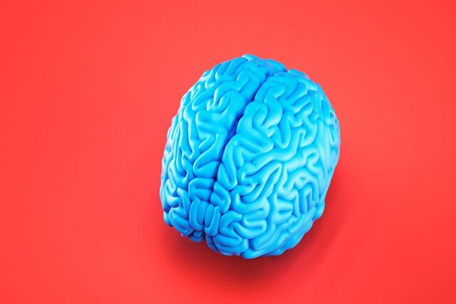 ارتباط بیش فعالی ناحیهای از مغز با یک اختلال روانی ارتباط بیش فعالی ناحیهای از مغز با یک اختلال روانی