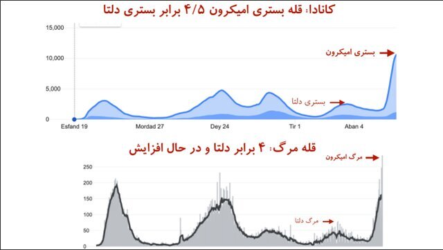 خطر سبقت تلفات امیکرون از دلتا در آمریکا/ تاختوتاز امیکرون در اروپا و کمبود پرسنل درمانی