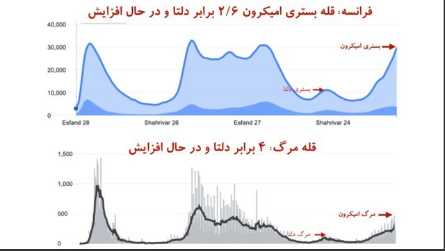 خطر سبقت تلفات امیکرون از دلتا در آمریکا/ تاختوتاز امیکرون در اروپا و کمبود پرسنل درمانی