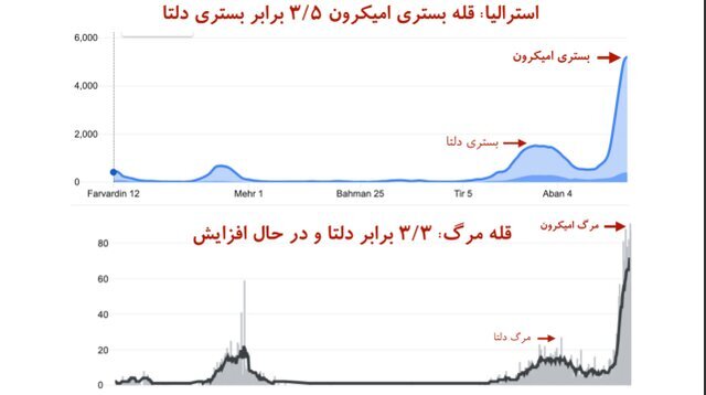 خطر سبقت تلفات امیکرون از دلتا در آمریکا/ تاختوتاز امیکرون در اروپا و کمبود پرسنل درمانی