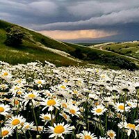 رزرو هتل در اردبیل با بهترین هزینه