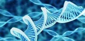 برگزاری سمپوزیوم سرطان