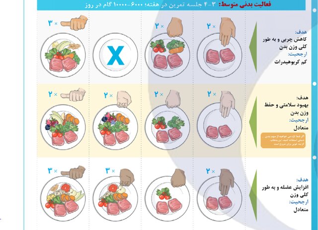 کنترل کالری بدن با الگوی «کف دست» + عکس