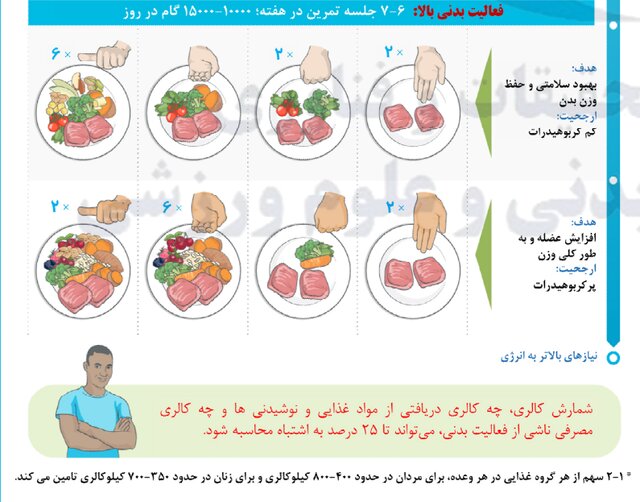 کنترل کالری بدن با الگوی «کف دست» + عکس