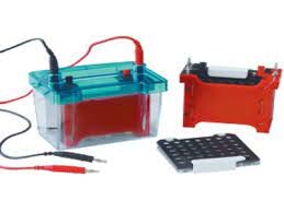 کارگاه آموزش SDS PAGE و وسترن بلات