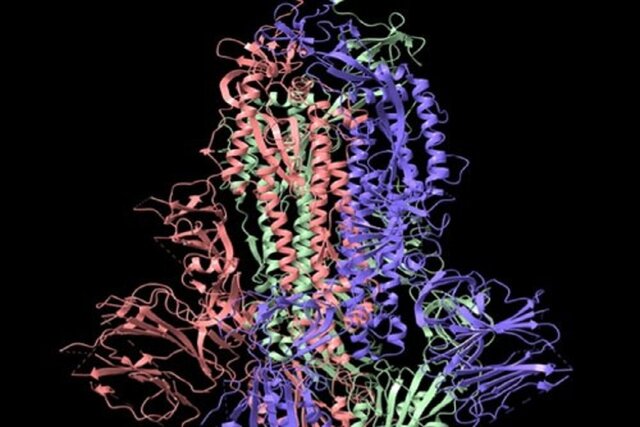 استاندارد ملی برای ارزیابی اثر نانومواد بر ساختار پروتئین‌ها تصویب شد