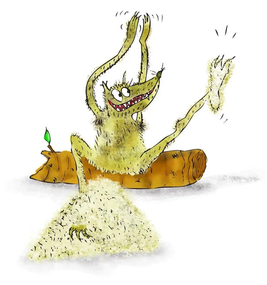 داستان و قصه کودکانه شنگول و منگول و حبه انگور