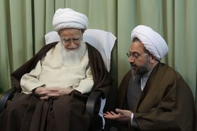 آیت‌الله صافی گلپایگانی غیرتی تحسین‌برانگیز در دفاع از حریم اهل بیت – علیهم السلام – داشتند