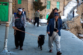 مراسم آینی سنتی پیرشالیار