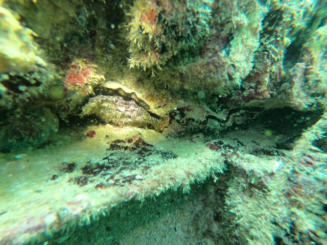 کشف شیء ناشناخته در آبهای خلیجفارس