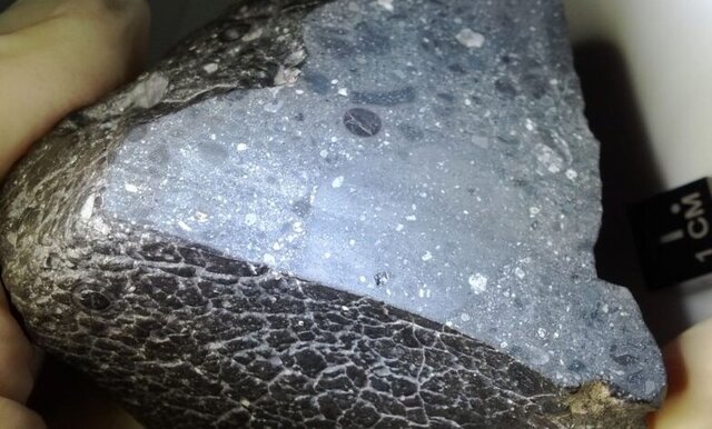 برخورد شهابسنگها مانعی برای تشکیل حیات اولیه در مریخ