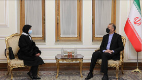 دیدار سفیر جدید فلسطین در تهران با امیرعبداللهیان