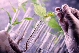 بودجه‌های کلان تحقیقی برای ایجاد پارک‌های حفظ ذخایر ژنتیکی و بذری محصولات اختصاص یابد