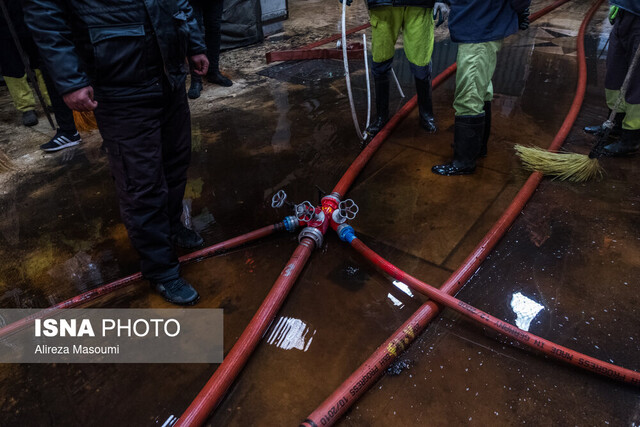 عکس تزئینی است شناسایی عامل به آتش کشیدن ۷ خودرو در محله ستارخان تهران