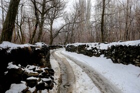 ایران زیباست؛ زمستان در كوچه باغ‌های همدان