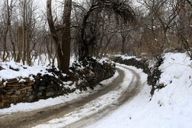 ایران زیباست؛ زمستان در كوچه باغ‌های همدان
