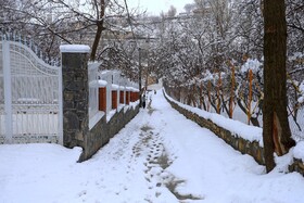 ایران زیباست؛ زمستان در كوچه باغ‌های همدان