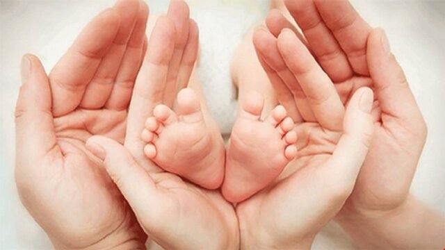 بررسی فقهی «رحم اجاره‌ای» در نشستی دانشجویی