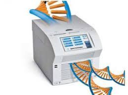 کارگاه آموزشی «طراحی آغازگرهای PCR»