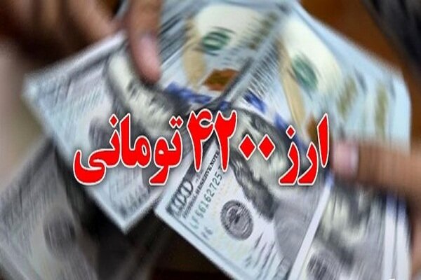 دولت هنوز تصمیم جامعی درباره ارز ترجیحی نگرفته است/ نگران این وضعیت هستیم