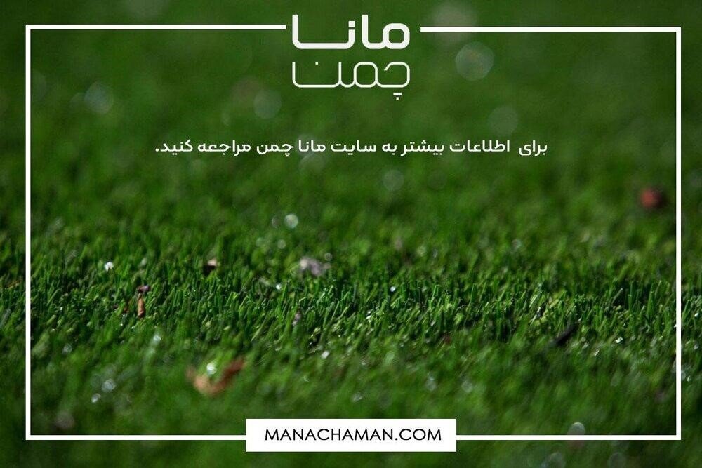 چمن مصنوعی راه حلی برای زیباسازی معابر