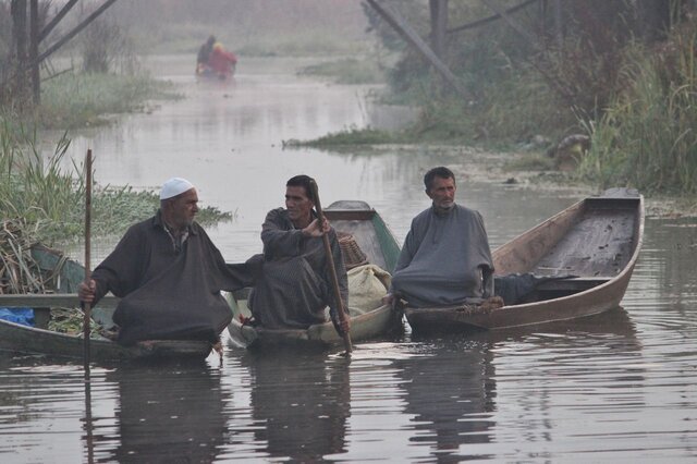 بازاری عجیب در تاج کشمیر