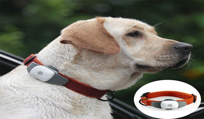 بهترین ردیاب جیپیاس موجود در بازار را چگونه تهیه کنیم؟