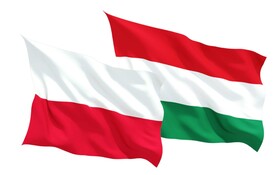 گزارش حقوق بشری؛ لهستان و مجارستان مستبدتر شده‌اند