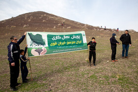 تهیه و توزیع ۳۰۰ هزار اصله نهال در راستای پویش ایرانی سرسبز در یزد