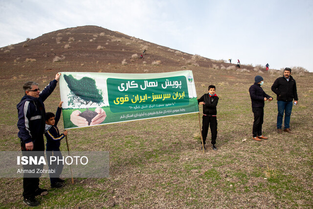 تهیه و توزیع ۳۰۰ هزار اصله نهال در راستای پویش ایرانی سرسبز در یزد 