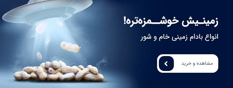 این خوراکی ها شما را از ابتلا به آلزایمر دور نگه میدارد