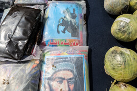 طرح ضربتی ارتقاء امنیت اجتماعی پلیس پایتخت