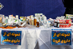 طرح ضربتی ارتقاء امنیت اجتماعی پلیس پایتخت