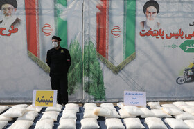 طرح ضربتی ارتقاء امنیت اجتماعی پلیس پایتخت