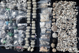 طرح ضربتی ارتقاء امنیت اجتماعی پلیس پایتخت