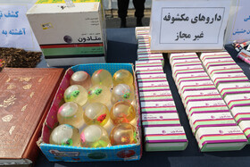 طرح ضربتی ارتقاء امنیت اجتماعی پلیس پایتخت