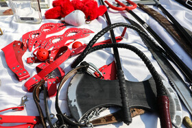 طرح ضربتی ارتقاء امنیت اجتماعی پلیس پایتخت