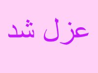 شتری که بر در فرمانداری رفسنجان خوابید شتری که بر در فرمانداری رفسنجان خوابید