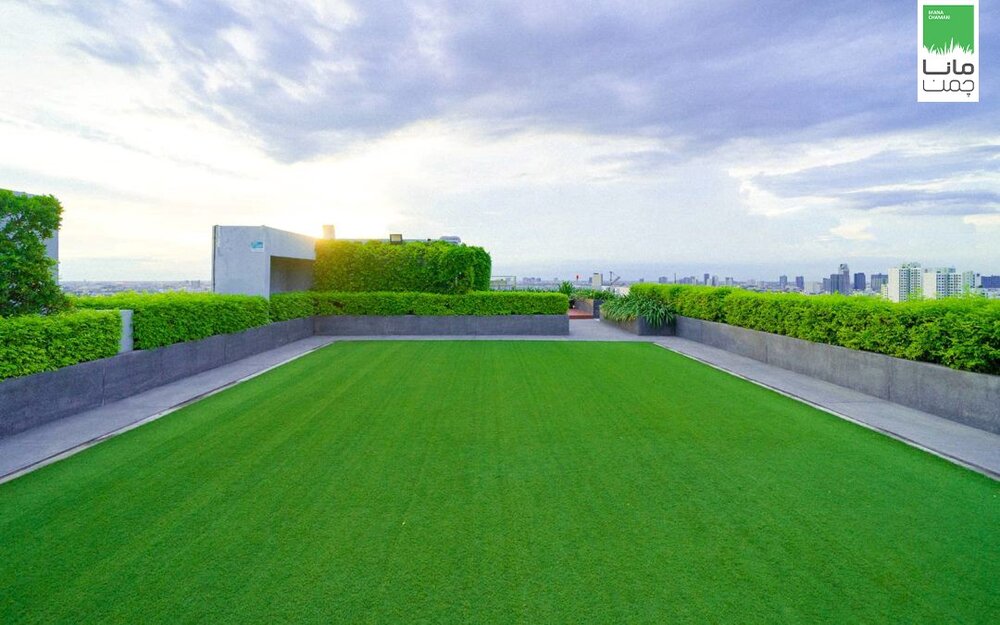 یک ایده عالی برای زیباسازی پشت بام منازل