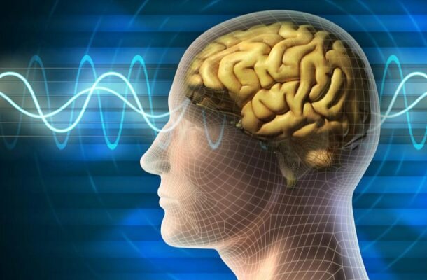با ۱۵ دانستنی درباره ذهن انسان آشنا شوید با ۱۵ دانستنی درباره ذهن انسان آشنا شوید