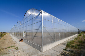 گلخانههای اتوماتیک برای جذب حداکثری نور و کنترل سرمایش و گرمایش در فصول مختلف احتیاج به شیشه و پلاستیک (پلاستیک نرم و پلاستیک سخت) دارد.