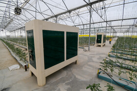 یکی دیگر از بخشهای مهم جهت رشد صحیح و دقیق محصولات کشاورزی در گلخانههای تمام اتوماتیک سیستم گرمایش و سرمایش آن است.